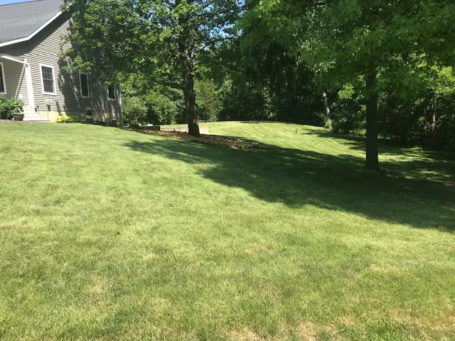 Naturescape Lawn and Landscape Care Picture 5