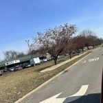 Chimal Landscaping Service