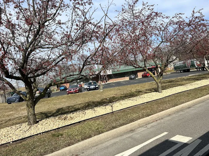 Chimal Landscaping Service Picture 5