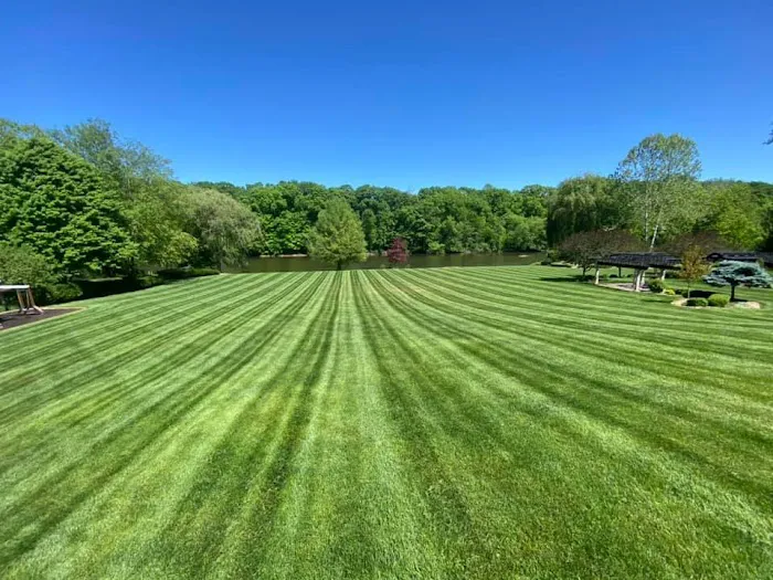 Arabella's Landscaping & Construction Picture 2