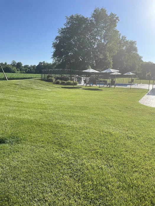 TruGreen Lawn Care Picture 4