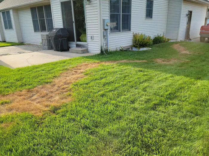 TruGreen Lawn Care Picture 1