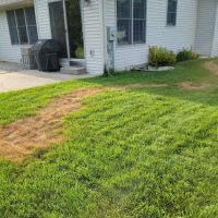 TruGreen Lawn Care ico