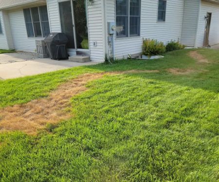 TruGreen Lawn Care