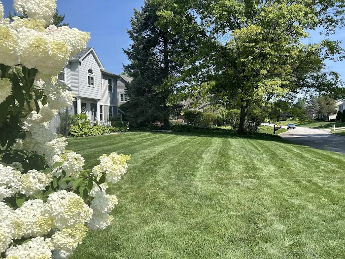 TruGreen Lawn Care Picture 8