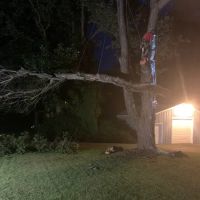Long Branch Tree Service LLC ico