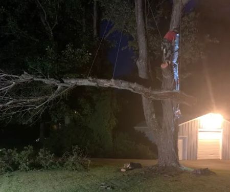Long Branch Tree Service LLC