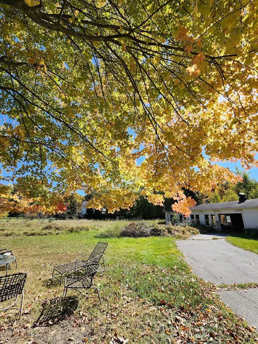 Vences lawn care & moreSawyer, Mi Picture 6