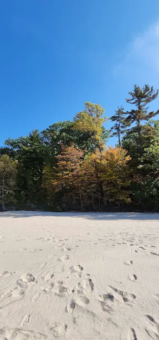 Vences lawn care & moreSawyer, Mi Picture 9