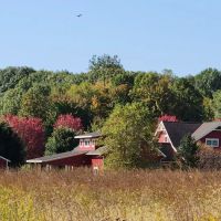 Vences lawn care & moreSawyer, Mi ico