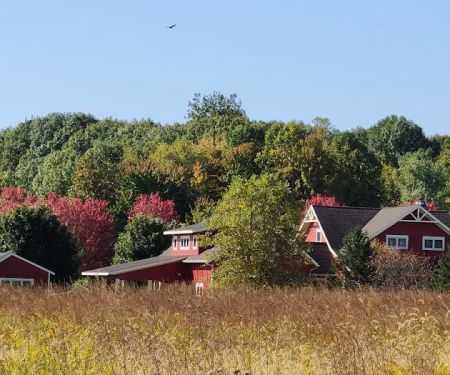 Vences lawn care & moreSawyer, Mi