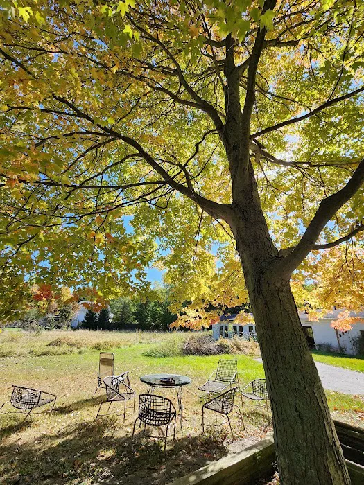 Vences lawn care & moreSawyer, Mi Picture 5