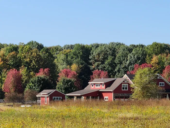 Vences lawn care & moreSawyer, Mi Picture 10