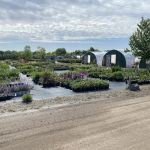 Nature's Way Landscaping