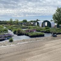 Nature's Way Landscaping ico