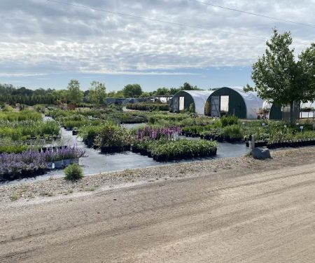 Nature's Way Landscaping