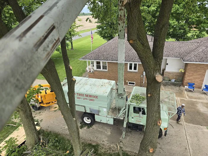Acorn Tree Service Picture 1