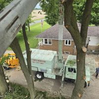 Acorn Tree Service ico