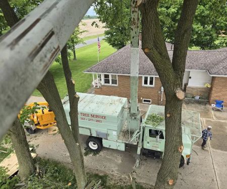 Acorn Tree Service