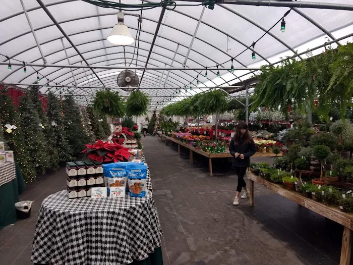 Sawyer Garden Center Picture 8