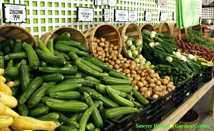 Sawyer Garden Center Picture 6