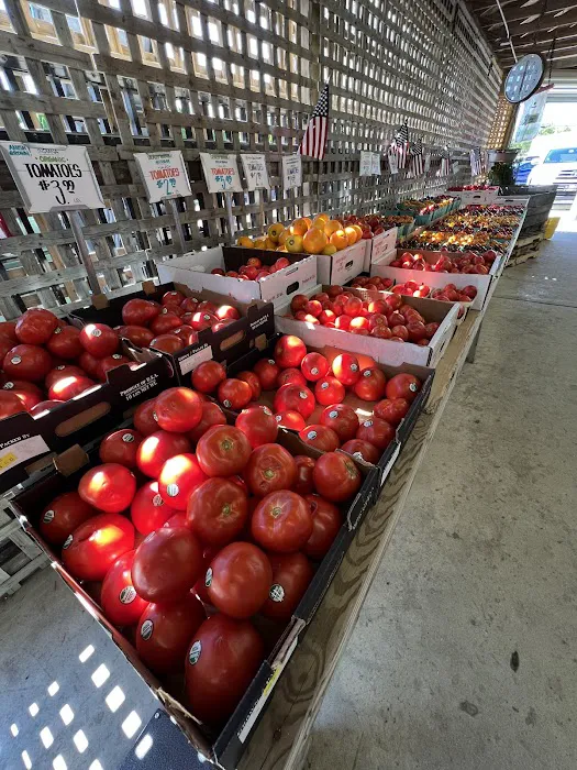 Sawyer Garden Center Picture 7