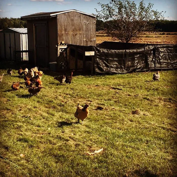 Back To Natural Farm Picture 7