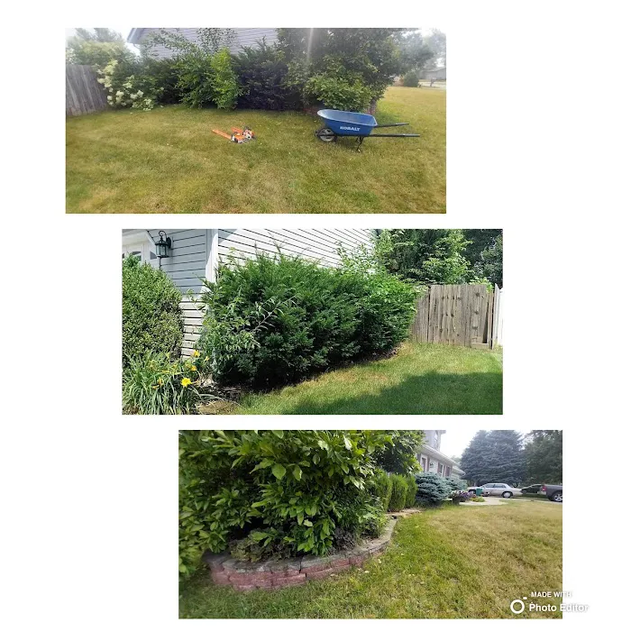 J Ortiz Landscaping And Hardscaping LLC Picture 2