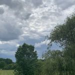 Jansen Landscaping Inc