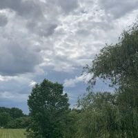 Jansen Landscaping Inc ico