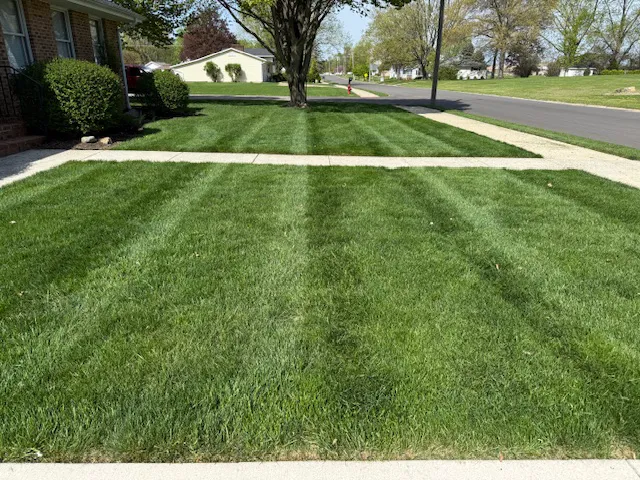 Two and a Half Men Lawn Care Picture 4