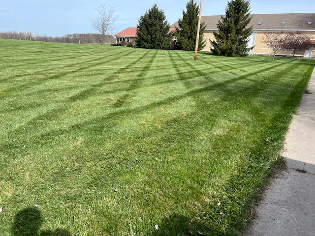 Two and a Half Men Lawn Care Picture 1