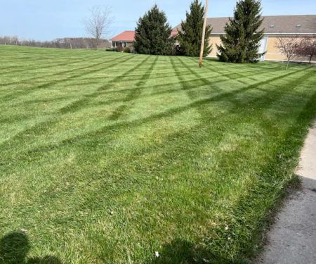 Two and a Half Men Lawn Care