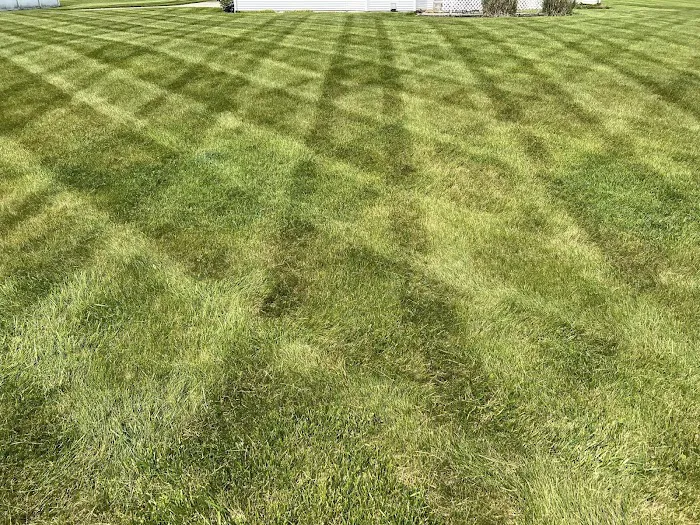 Two and a Half Men Lawn Care Picture 3