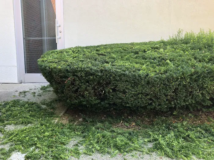 Stryker Lawn Service Picture 5