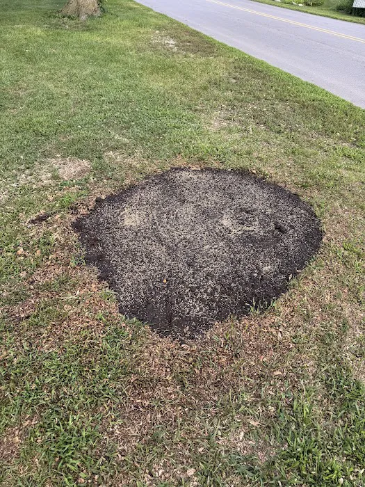 Anderson Lawncare Inc. Picture 2