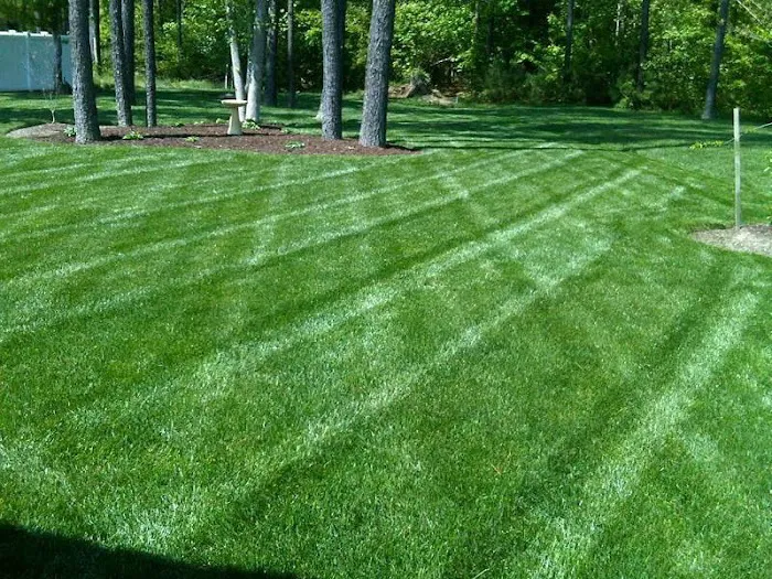 Grand Designs Landscaping & Hardscaping, LLC Picture 7