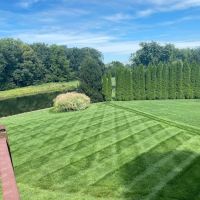 LC Lawn Services LLC ico