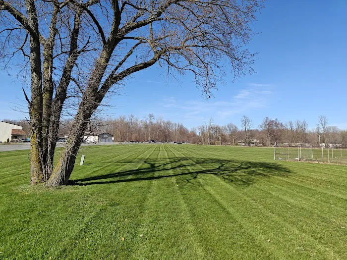 Anderson Lawn & Landscape Picture 1