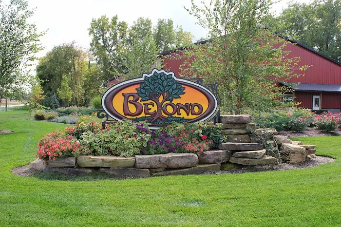 Beyond Landscaping Picture 9