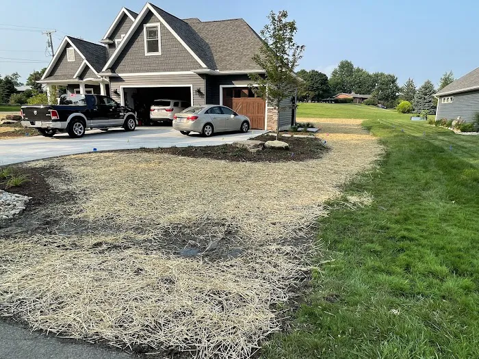 Beyond Landscaping Picture 4