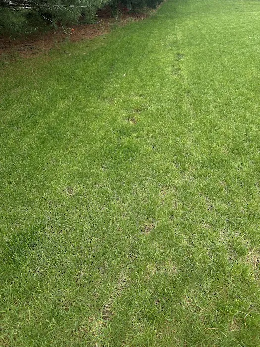 Greenfield Landscape Services Inc Picture 1