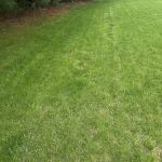 Greenfield Landscape Services Inc