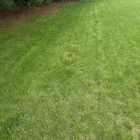 Greenfield Landscape Services Inc ico