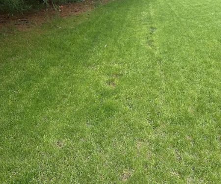 Greenfield Landscape Services Inc