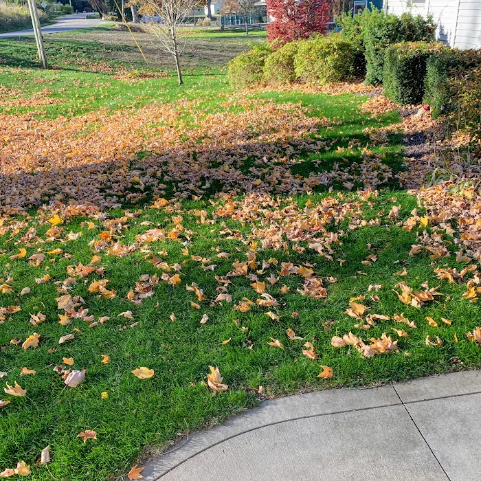 Frye's Lawn Care & Landscaping Picture 1