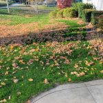 Frye's Lawn Care & Landscaping