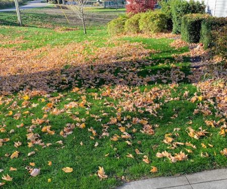 Frye's Lawn Care & Landscaping