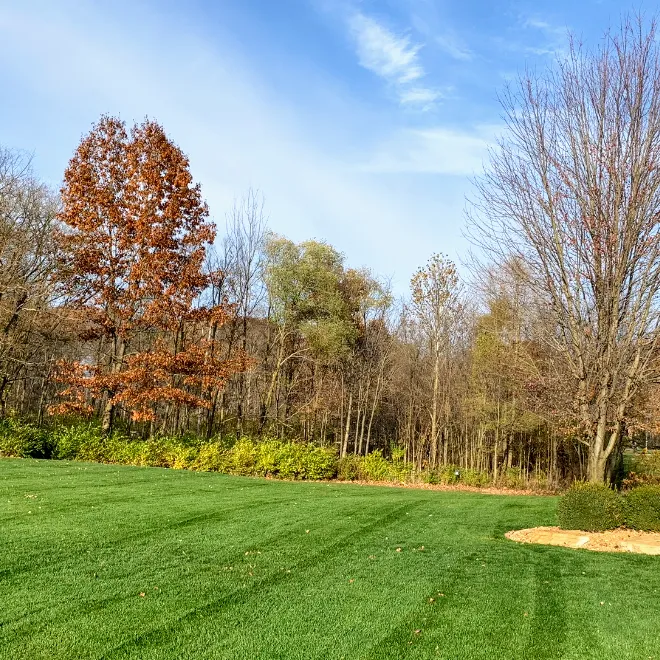 Frye's Lawn Care & Landscaping Picture 7