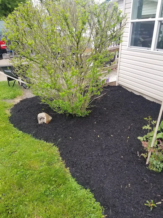 Midwest Lawn and Property Services LLC Picture 2
